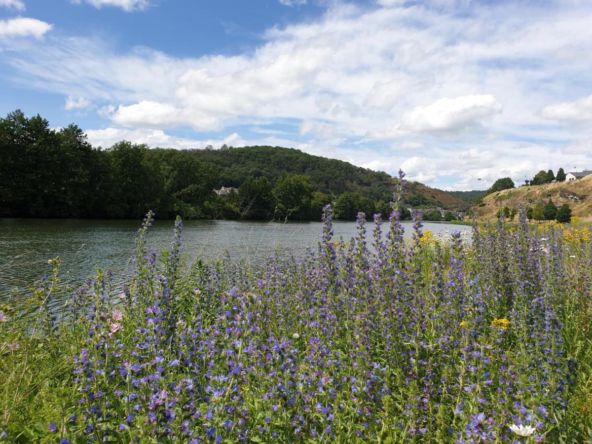 Chalet Le Logis Des Autre Vireux-Wallerand المظهر الخارجي الصورة